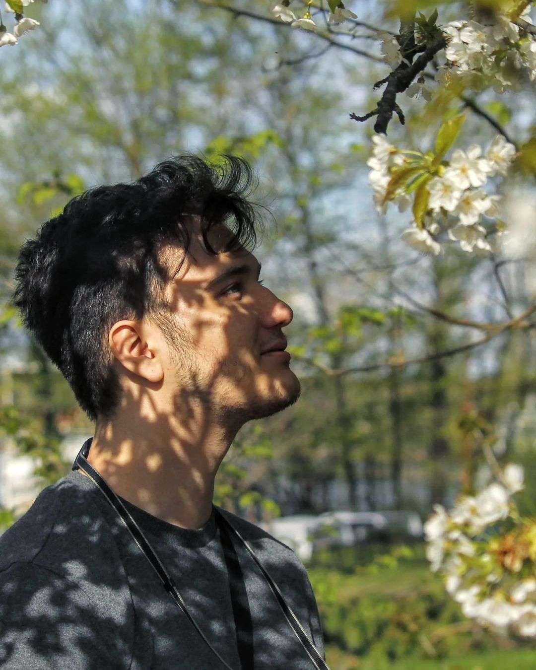 Daniel standing under cherry blossoms